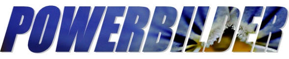Logo-01