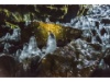 Island 2015-059